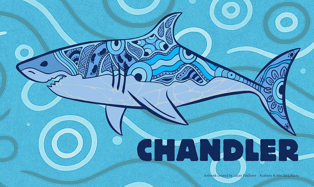 Sports Day Champions: Chandler!